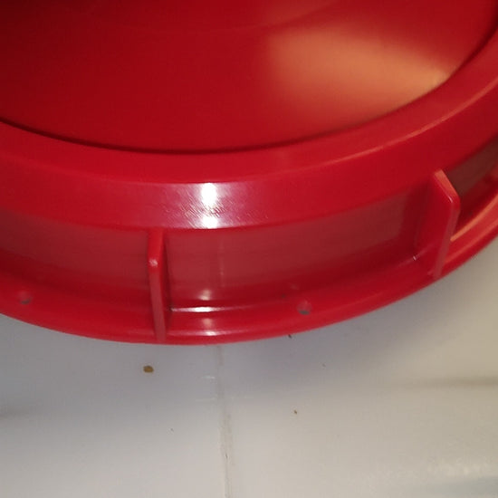 Rüben - Fermnent- für Living Soil