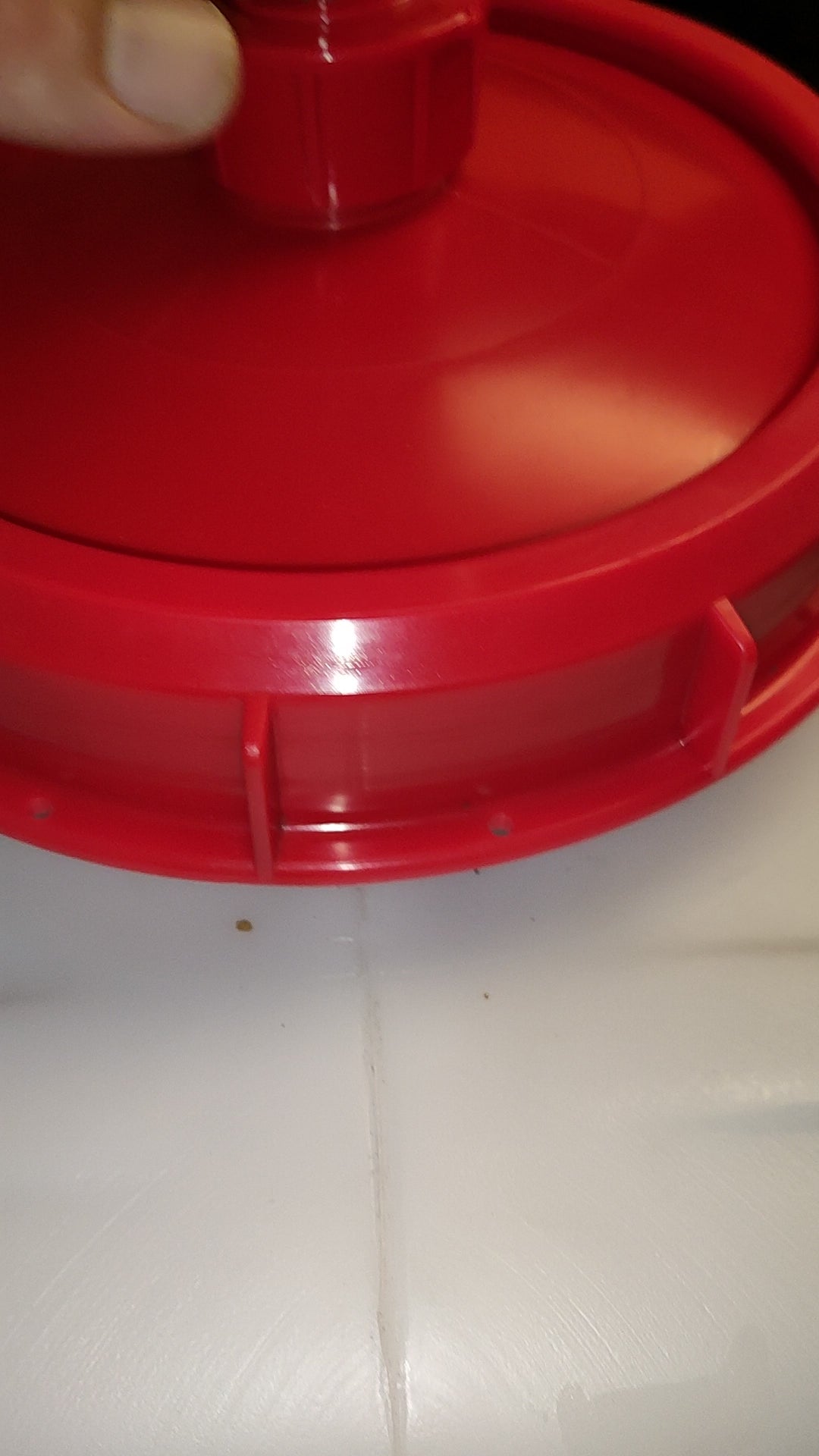 Rüben - Fermnent- für Living Soil