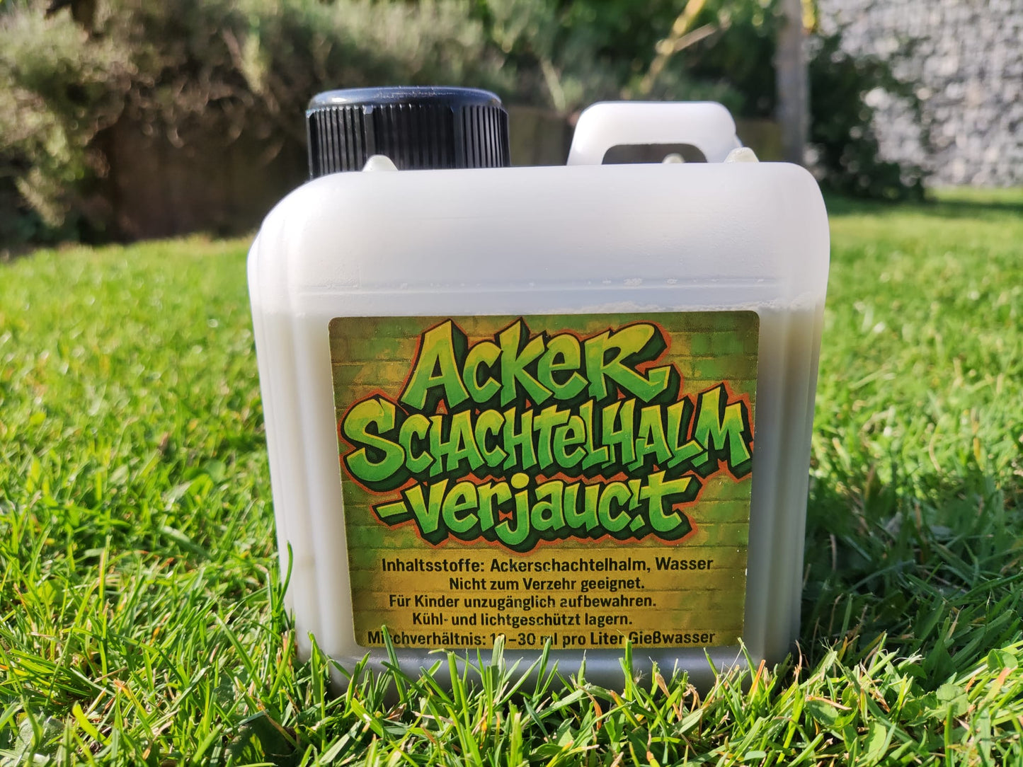 Ackerschachtelhalm klassisch verjaucht - für Living Soil