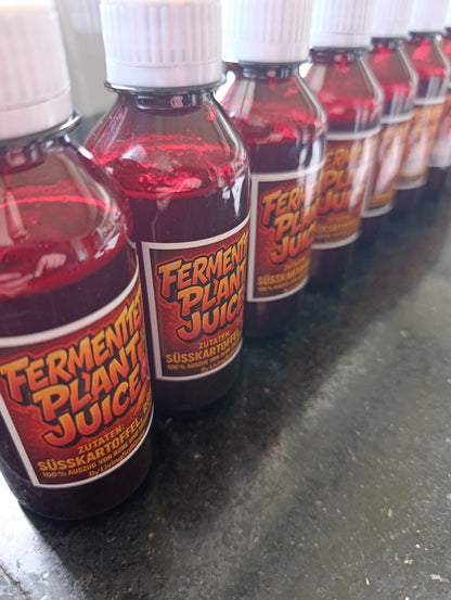 Fermentet Plant Juice Süßkartoffel Rübe
