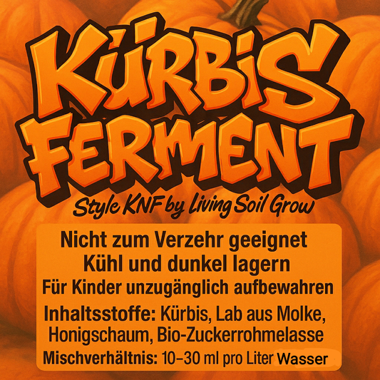 Kürbis Ferment