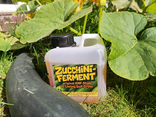 Zucchini - Ferment - für Living Soil