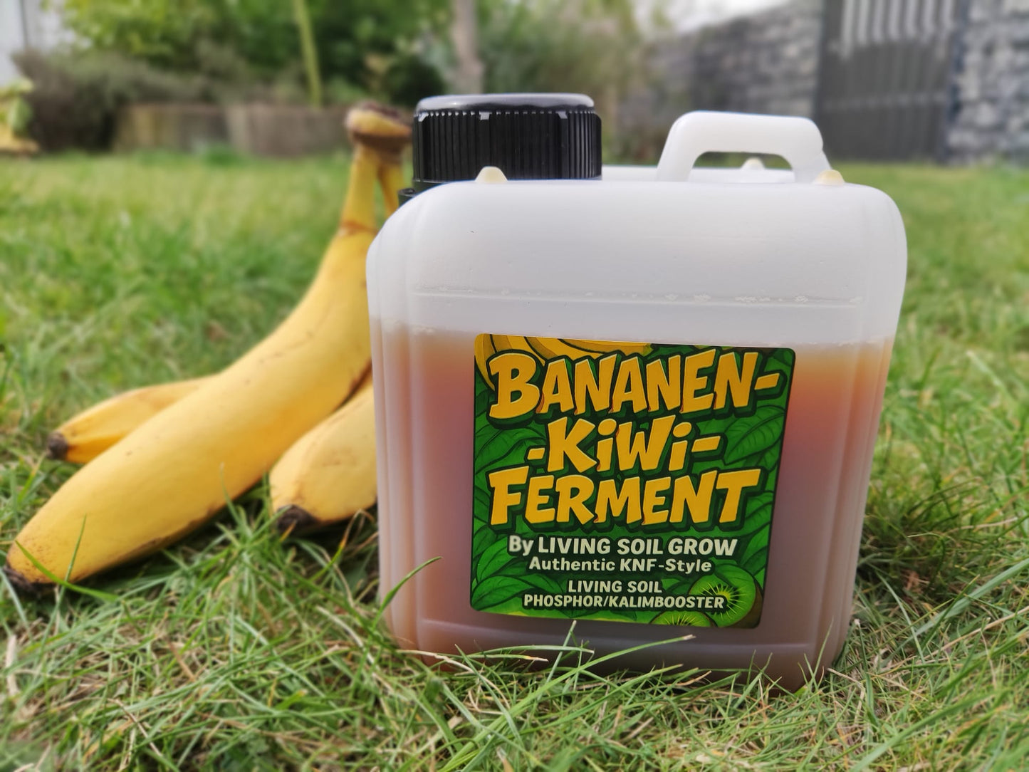Bananen - Kiwi - Ferment für Living Soil