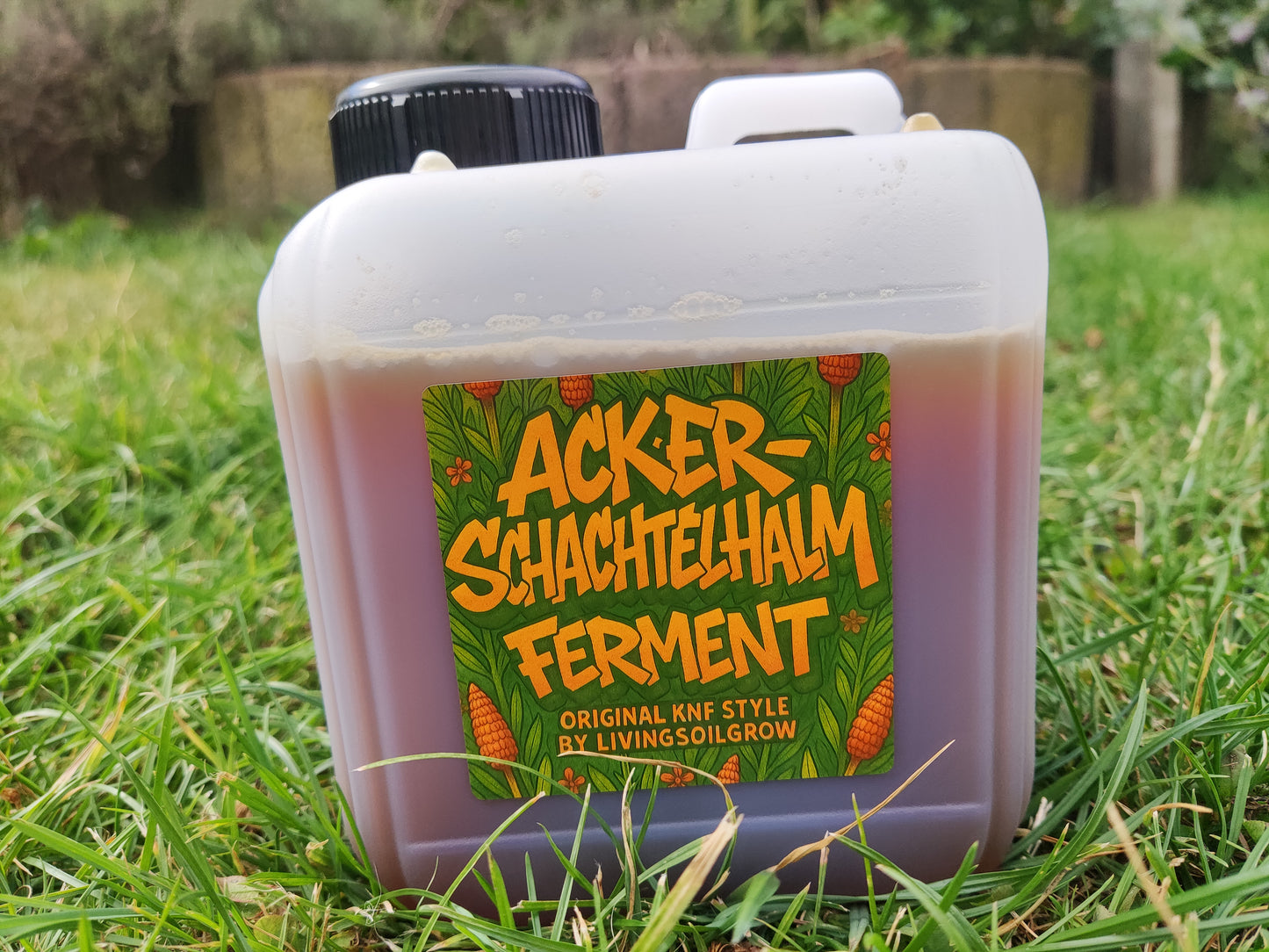 Ackerschachtelhalm Ferment