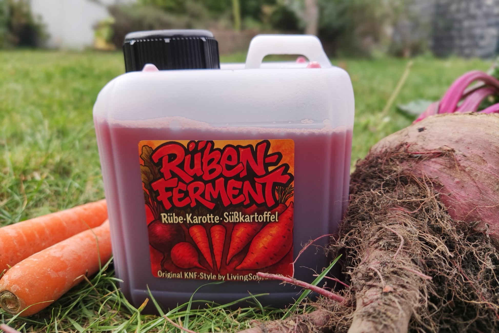 Rüben Ferment - für Living Soil