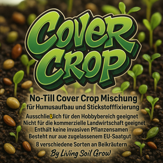 No Till Cover Crop/ Begleitpflanzen für Humusaufbau und Stickstofffixierung für den Hobbygarten Bereich