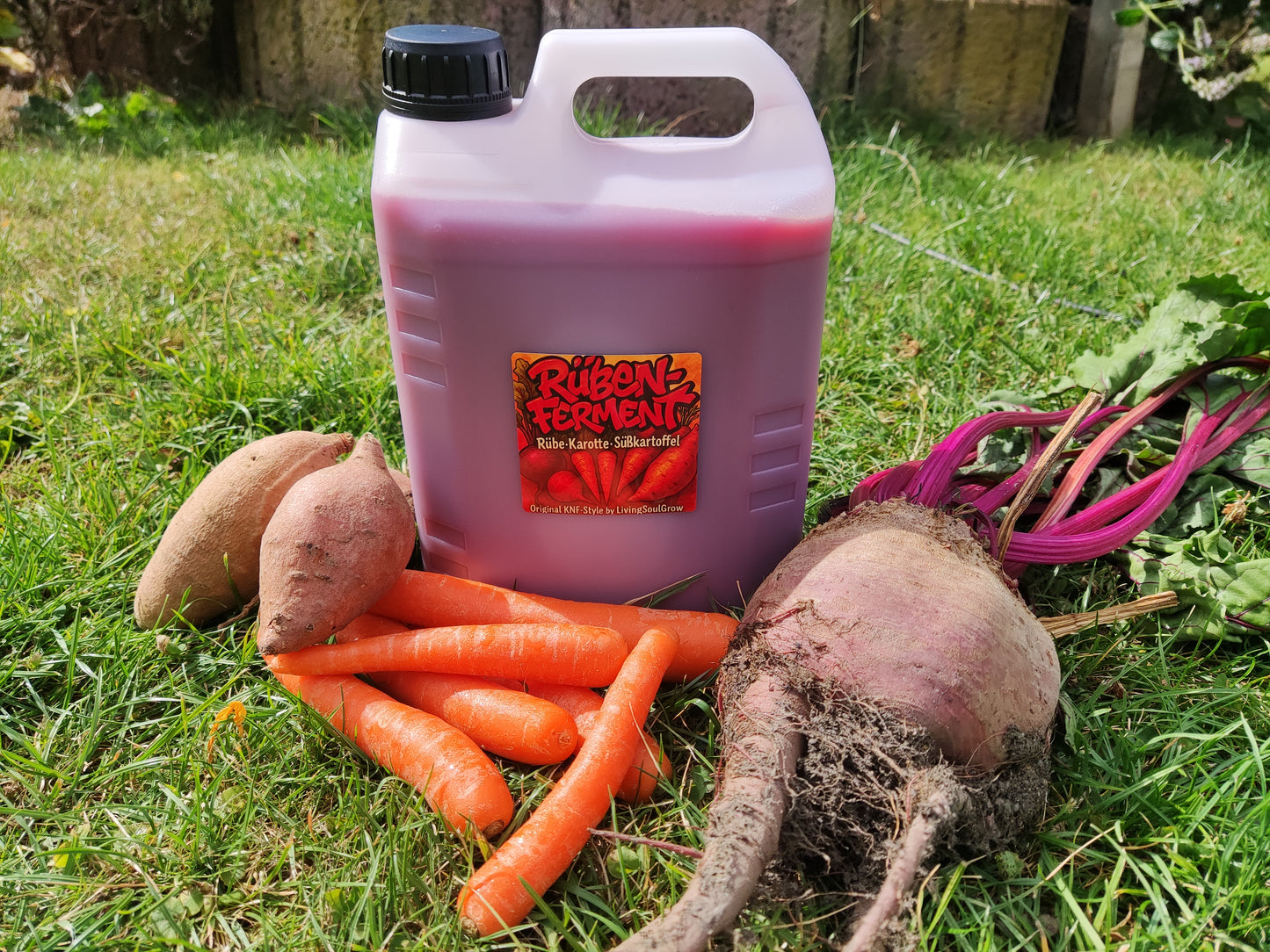 Rüben- Ferment - für Living Soil